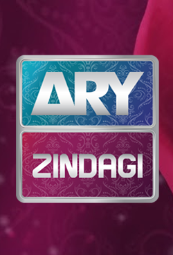 AryZindagi